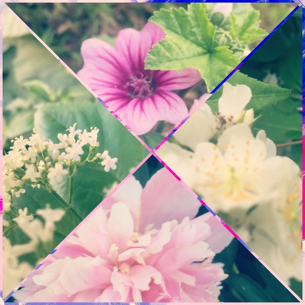 Meet your Posher, Rissalat